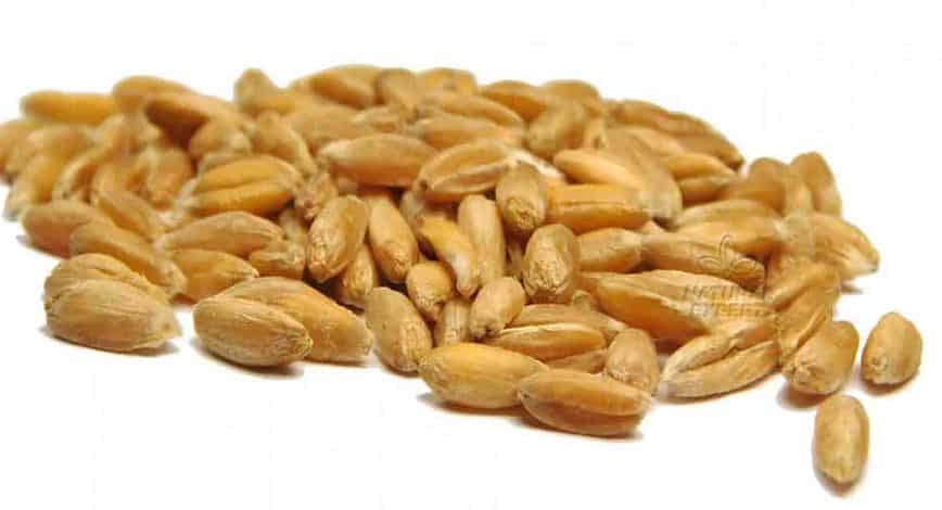 Jedenasta niedziela zwykła – 13 VI